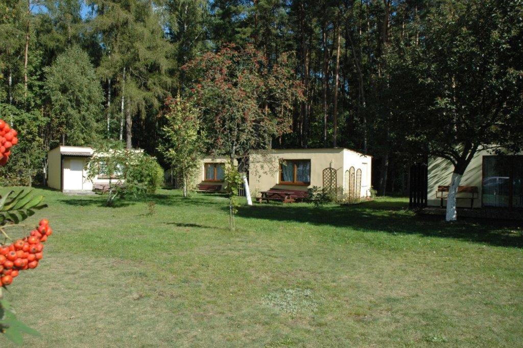 Ow Mikomania Charzykowy Exteriér fotografie